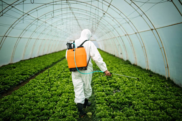 Best Pest Control Near Me  in Wabasha, MN