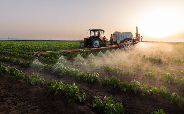 Best Pest Control for Businesses  in Wabasha, MN