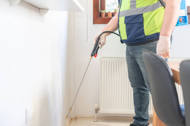Best Cockroach Control Services  in Wabasha, MN