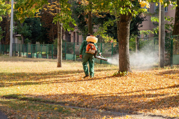 Reliable Wabasha, MN Pest Control Solutions